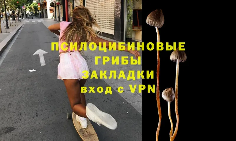 Галлюциногенные грибы MAGIC MUSHROOMS  Балаково 